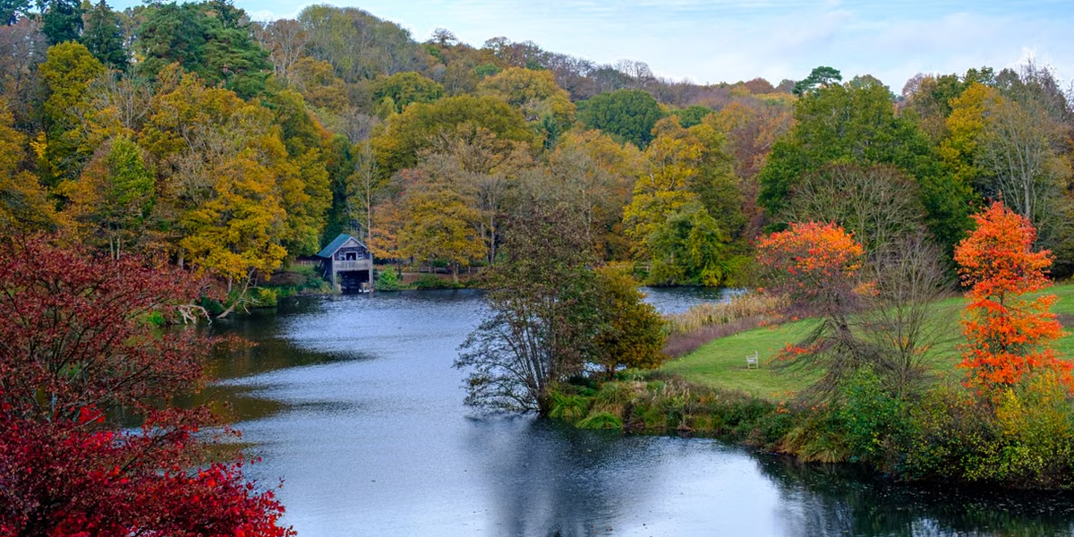 autumn_lake_1200x600